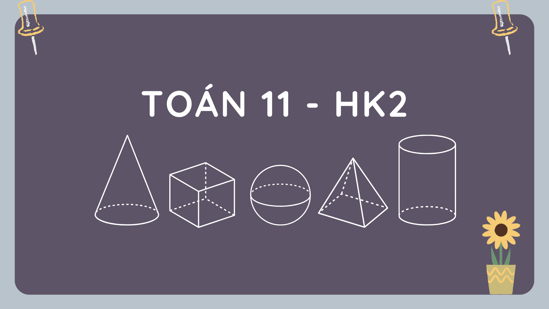 Toán 11 - HK2