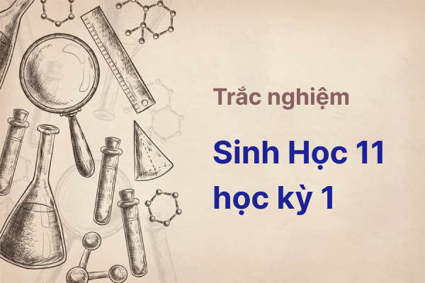 Trắc nghiệm sinh học lớp 11 học kỳ 1