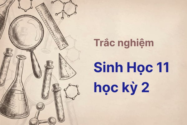 Trắc nghiệm sinh học lớp 11 học kỳ 2